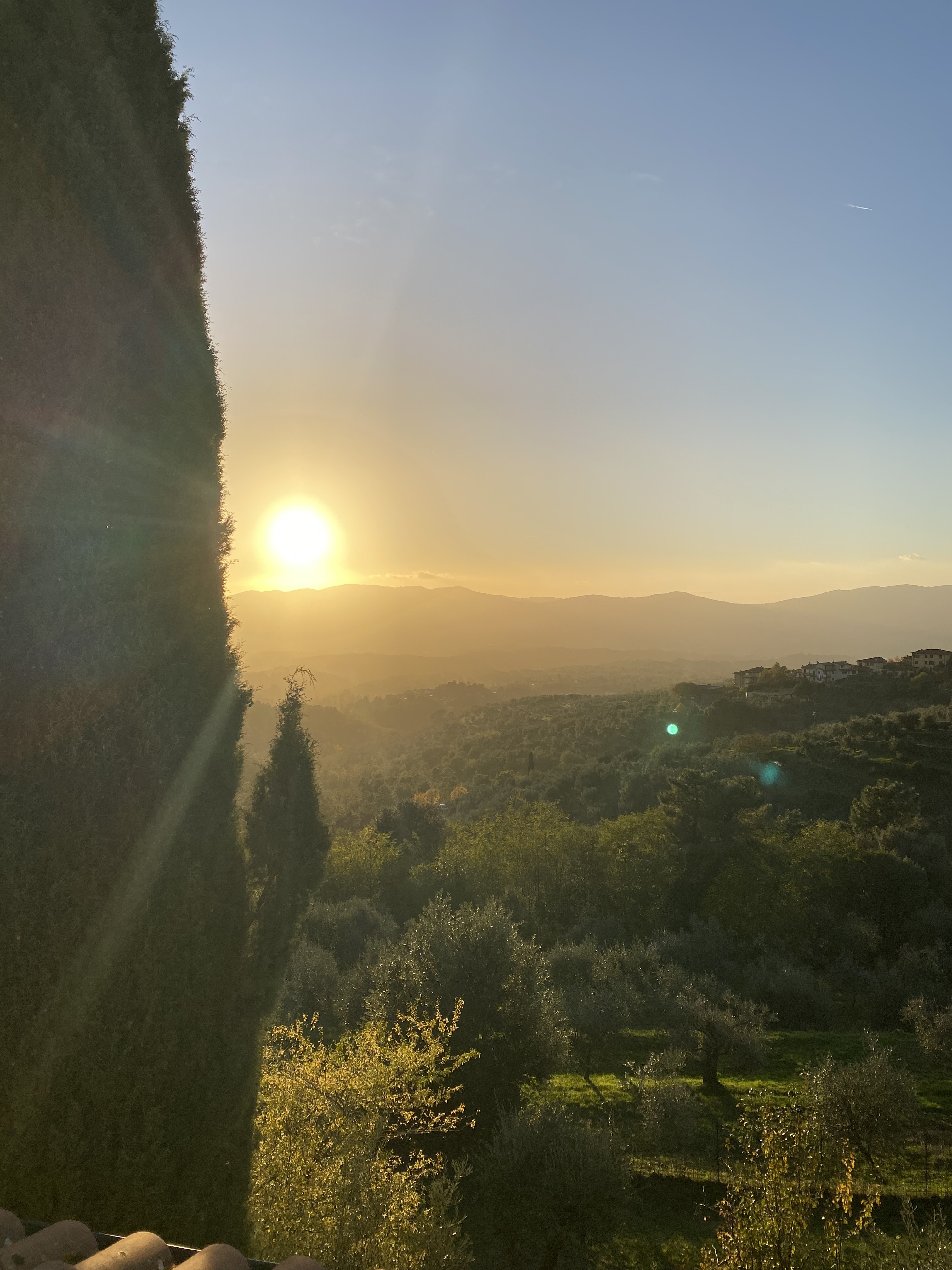 Sunset over the olive groves and hills of Valle, Reggello