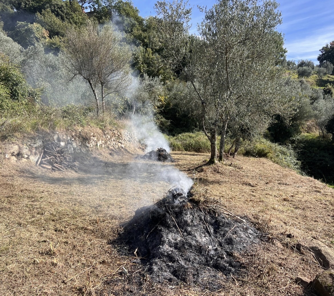 Cleared undergrowth burning after restoration work