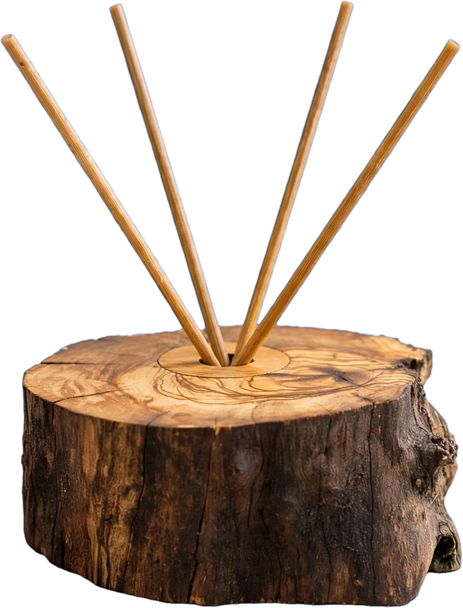 Handmade olive wood diffuser with reed sticks