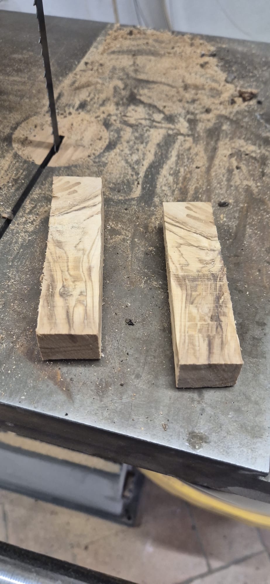 Two small olive wood blocks cut and ready for turning